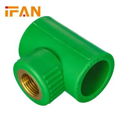 PPR נקבה השחלה טי