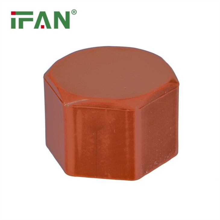 PPH Female Plug Fitting